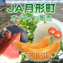 netshopbanner